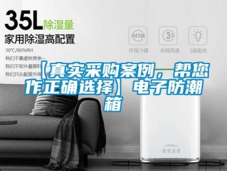 企業新聞【真實采購案例，幫您作正確選擇】電子防潮箱
