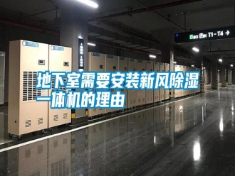 行業(yè)新聞地下室需要安裝新風除濕一體機的理由