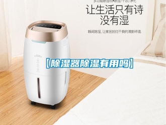 企業新聞【除濕器除濕有用嗎】