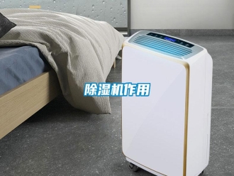 知識(shí)百科除濕機(jī)作用