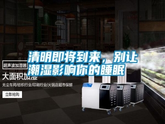 知識百科清明即將到來，別讓潮濕影響你的睡眠