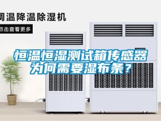 知識百科恒溫恒濕測試箱傳感器為何需要濕布條？