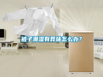 知識(shí)百科被子潮濕有異味怎么辦？