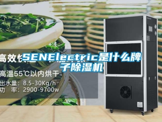 企業(yè)新聞SENElectric是什么牌子除濕機(jī)