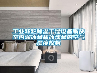 常見問題工業(yè)轉(zhuǎn)輪除濕干燥設(shè)備解決室內(nèi)溜冰場(chǎng)和冰球場(chǎng)的空氣濕度控制