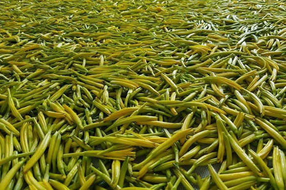 無硫金針菜烘干如何保持品相？不發(fā)黑？